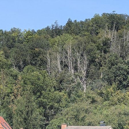 Ferienwohnung Mit Ausblick In Wimmelburg Eksteriør bilde