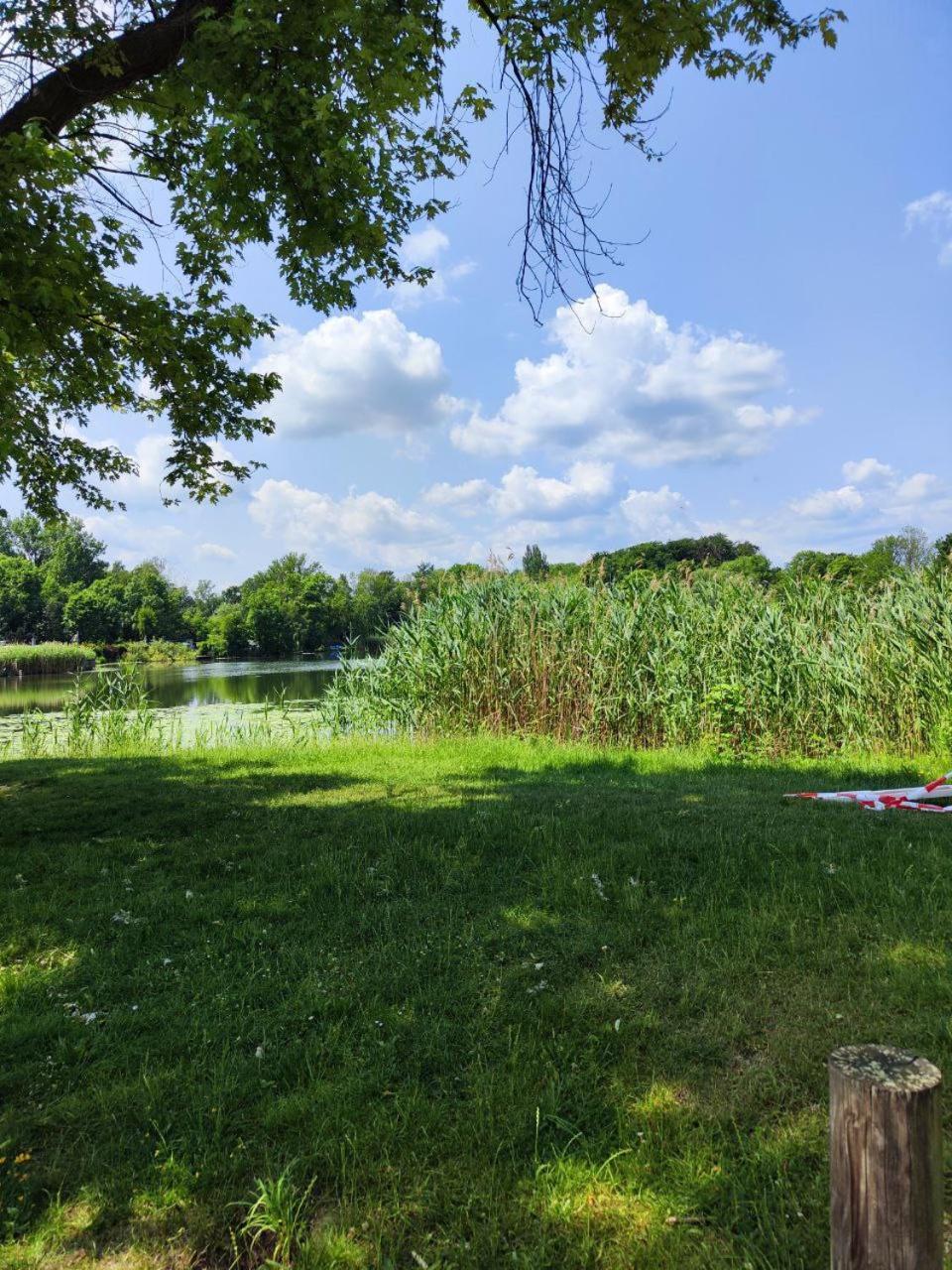 Ferienwohnung Mit Ausblick In Wimmelburg Eksteriør bilde